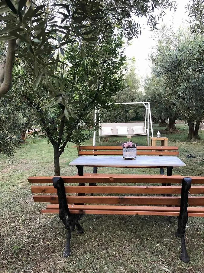 Green Olive Studios 2 Agios Mamas  Agios Mamas (Chalkidiki)