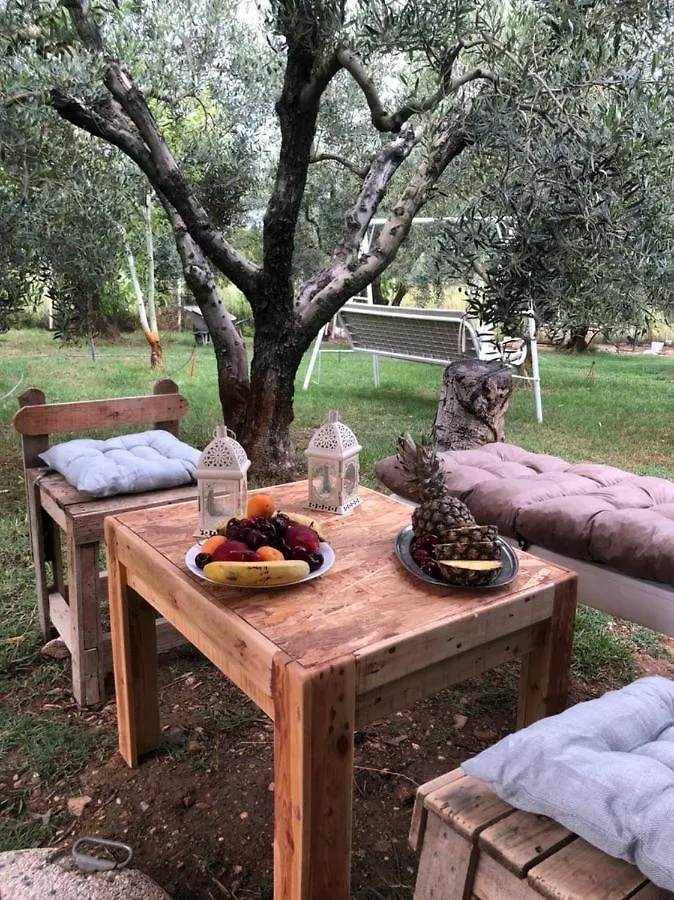 Green Olive Studios 2 Agios Mamas  Agios Mamas (Chalkidiki)