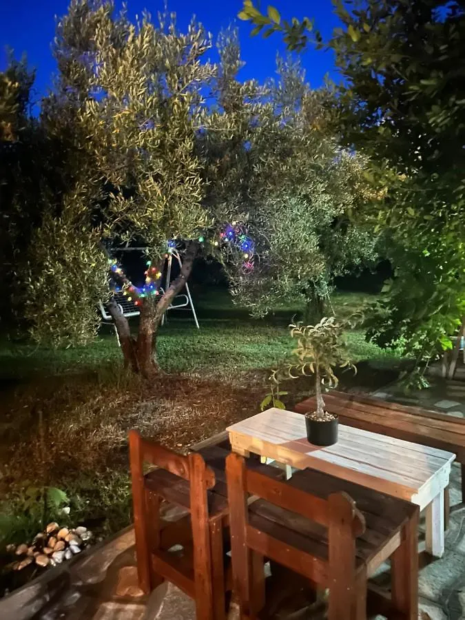 Green Olive Studios 2 Agios Mamas  0*, Agios Mamas (Chalkidiki)